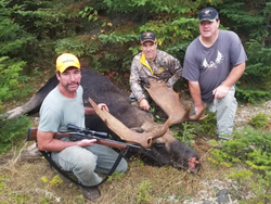 Hunting Delights In Maine: Moose